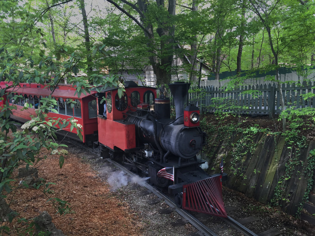 12 Best Theme Park Steam Trains in America - Coaster101
